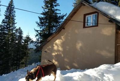 Casă cu 2 camere în Central - 1
