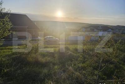 Teren de 1150 mp, în Sălicea - 2