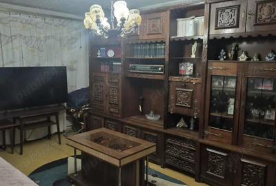 Apartament cu 2 camere decomandat, mobilat în Brazda lui Novac - 3