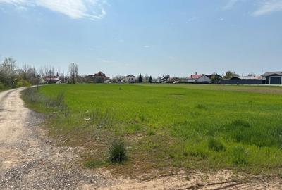 Teren Construcții intravilan de 100000 mp, în Ciolpani - 4