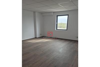 Depozit/hala/spatiu industrial Chiajna - Chitila - Rudeni - 7