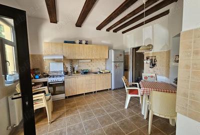 Casă cu 5 camere cu Teren 6842 Mp în Brădetu - 11