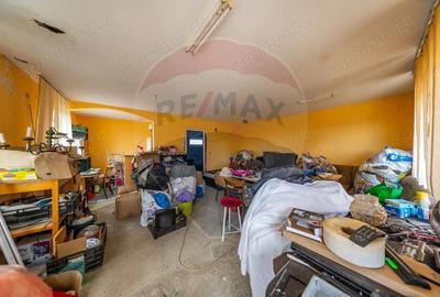 Spa?iu industrial cu potential de vanzare in Paulis,Arad - 18