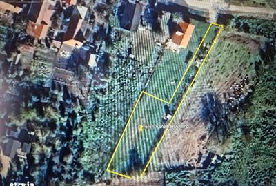 Teren de 664 mp, în Remetea Mare - 6