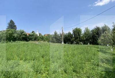 Teren intravilan 3.000 mp cu front stradal 30 m Sat. Moa - 5