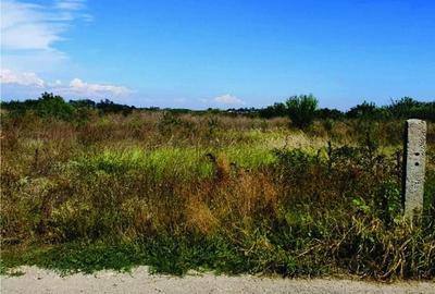 TEREN LA LAC - direct de la proprietar - 2700 mp - SAMURCAȘI- CREVEDIA - 5