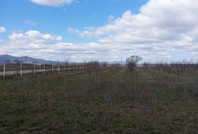 Casă cu 2 camere în Hălmăgel - 6