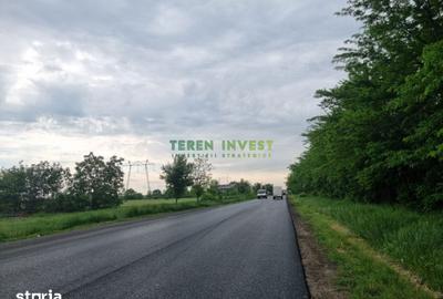 Teren de 54000 mp, în Frumușani - 2