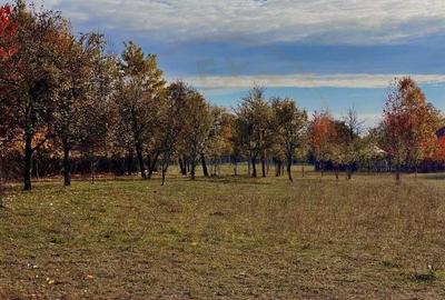Teren Premium 1559 mp, Brebu Manastirei Refugiu Montan la 120 km de Bucuresti, - 4