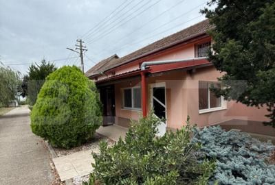 Ferma de Vanzare in judetul Timis, la nord est de Timisoara, - 18