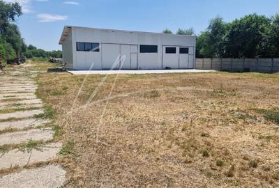 Teren Construcții intravilan de 10275 mp, în Dridu - 4