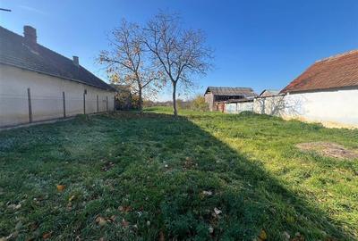 RECO Teren Unicat Sosea Nojorid - 2