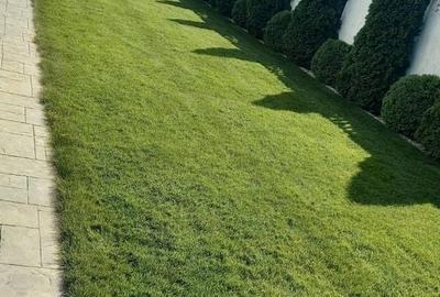 Casă individuală cu 5 camere cu Canalizare în Dumbrăvița - 27