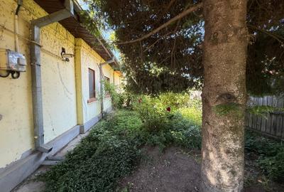 Casă individuală cu 3 camere cu Canalizare în Colentina - 6