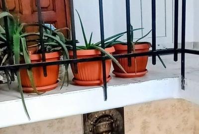 Apartament cu 2 camere în Floreasca - 8