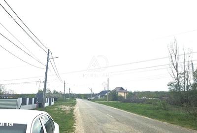 Teren de 5624 mp, în Dănești - 1