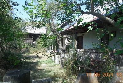 Casa taraneasca si teren comuna Murgasi sat Balota de Jos DJ - 6