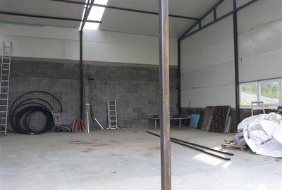 Inchiriere hala pentru depozitare sau atelier Iris - Valea Chintaului - 2