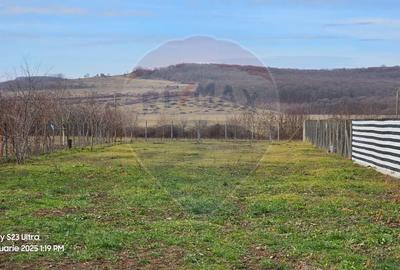 Teren Construcții intravilan de 1186 mp, în Ineu - 7