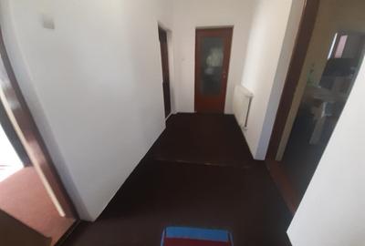 Casă cu 2 camere cu Teren 2000 Mp în Arduzel - 7