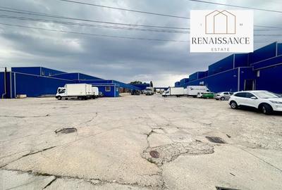 3 Hale Clasa A | 11.250mp Construiti 25.450mp Teren | Freidorf - 3