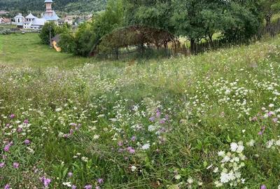 Teren 3,311mp Molid -Vama, Strada Stefan cel Mare, Suceava - 2