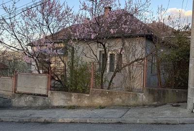 Casă cu 3 camere în Gruia - 1