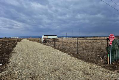 Teren Construcții intravilan de 500 mp, în Stupini - 5