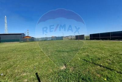 Teren agricol intravilan de 514 mp, în Triaj - 4