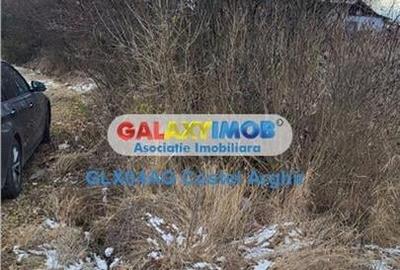 Vindem teren intravilan 3500 mp Smeura Vindem teren intravilan 3500 mp Smeura - 6