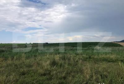 Teren de 500 mp, în Central