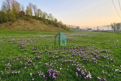 Spațiu comercial, în Central - 5