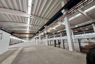 Spatiu Industrial - 9750 mp - Productie - Depozitare - Distributie