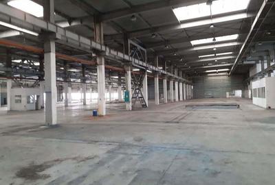 Spațiu comercial, de 20,000 mp, în Timișoara - 1