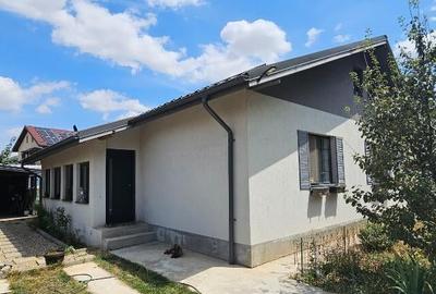 Casa parter + pod - Berceni