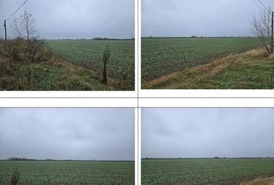 Teren de 4000 mp, în Budești - 2