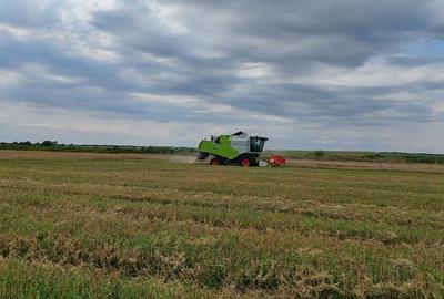 Spațiu comercial, în Remetea Mică