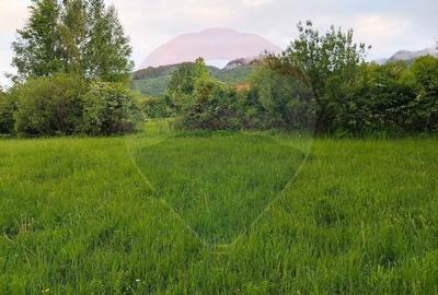 Teren Construcții intravilan de 4223 mp, în Tohănița - 15