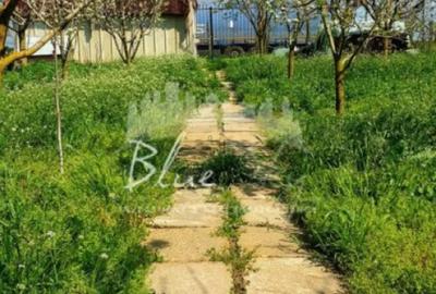 Casă cu 2 camere cu Canalizare în Mihail Kogălniceanu - 12