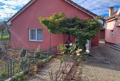 Casă cu 2 camere cu Teren 892 Mp în Băcia - 4