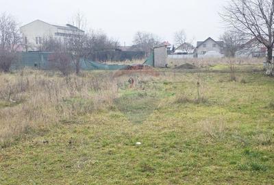 Teren 519mp Dumbrava Rosie / Strada CRANGULUI - 27