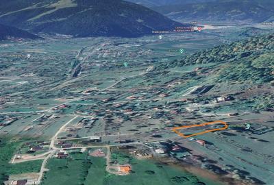 Teren de 1590 mp, în Alexandru cel Bun - 5