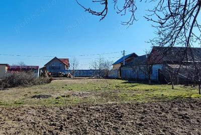 Teren de 800 mp, în Dumbrava - 1