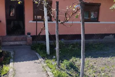 Casa la ?ara - 2
