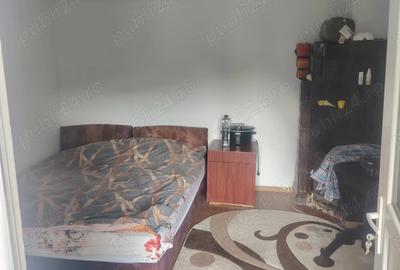 Casă cu 3 camere în Urseiu - 8