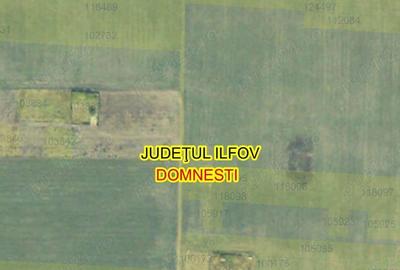 Teren de 534 mp, în Domnești - 5