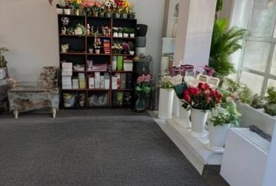 Spatiu comercial Agnita, judetul Sibiu. Spatiu comercial Agnita, judetul Sibiu. - 6