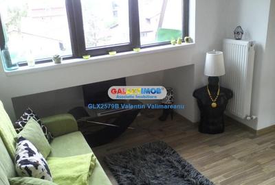 Apartament 2 camere Jiului complet mobilat si utilat - 31