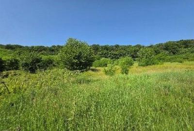 Teren Duda Epureni, ID: R2609594 - 5