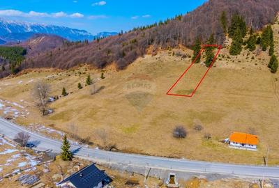 COMISION 0% Teren 2,028mp Fundata/ Intravilan - 3